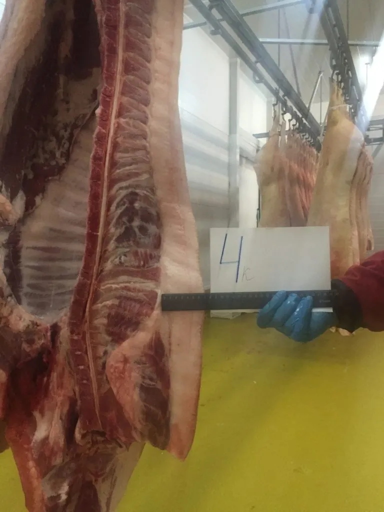 мясо свинина в полутушах от 170 руб/кг в Уфе